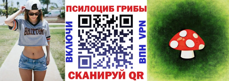 блэк спрут как зайти  Новочебоксарск  Псилоцибиновые грибы мицелий 