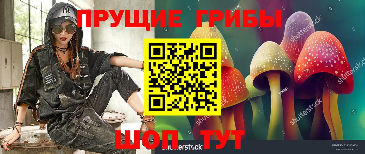 Псилоцибиновые грибы ЛСД  купить  сайты  Новочебоксарск 